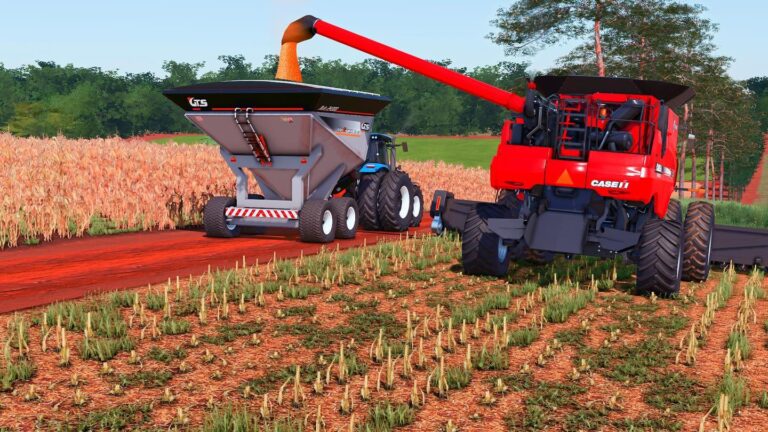 FARM BRASIL | SUL DO BRASIL 23