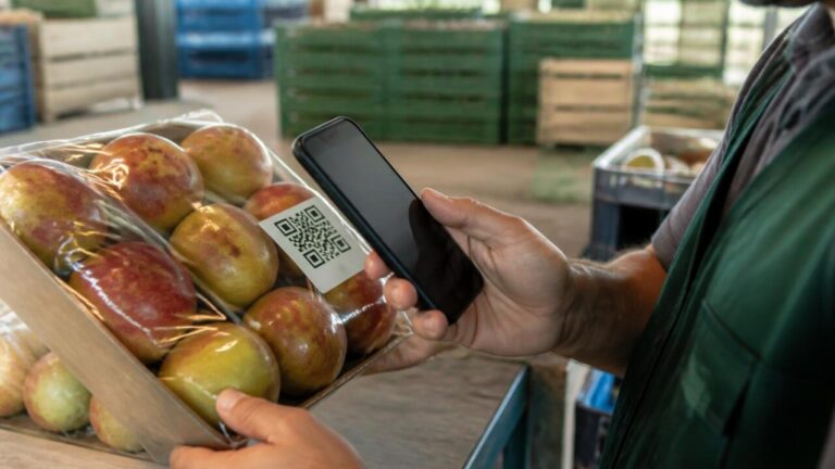 Etiqueta com QR code aplicada em caixa de frutas sendo escaneada por smartphone