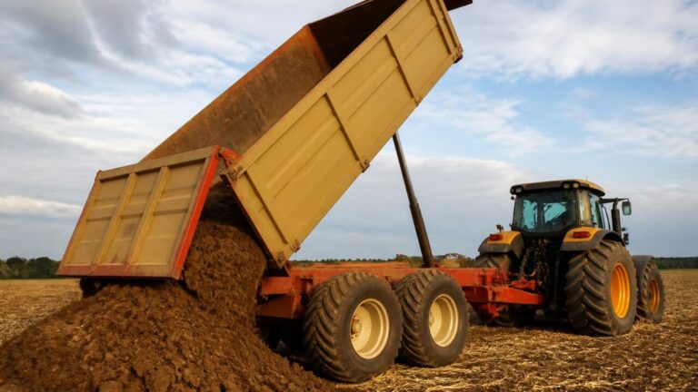 Carreta basculante agrícola em campo com a caçamba elevada durante o descarregamento de grãos