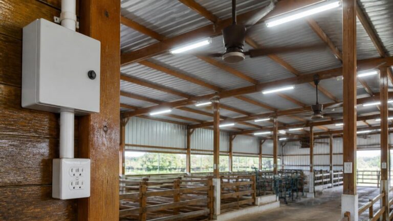 Interior de um galpão agrícola com luminárias, painéis elétricos e ventiladores instalados