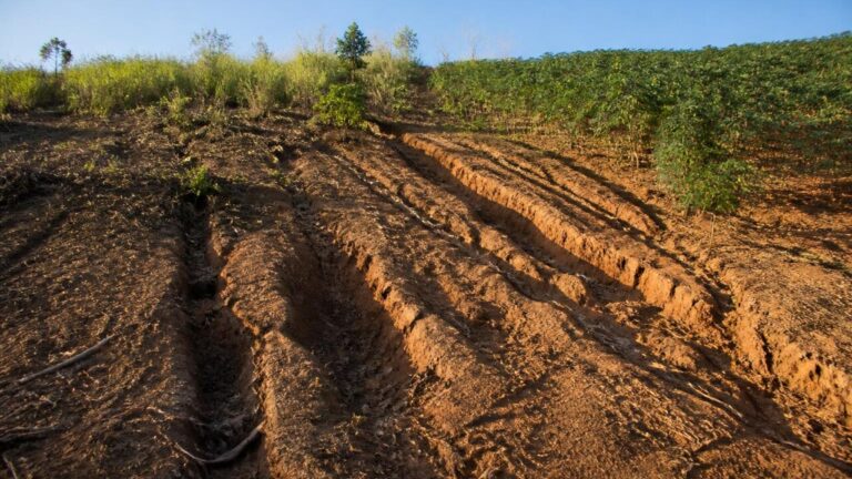 Encosta com sulcos e vegetação escassa indicando erosão do solo