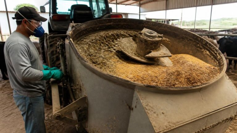 Misturador de ração industrial operando em celeiro com alimentação animal sendo preparada