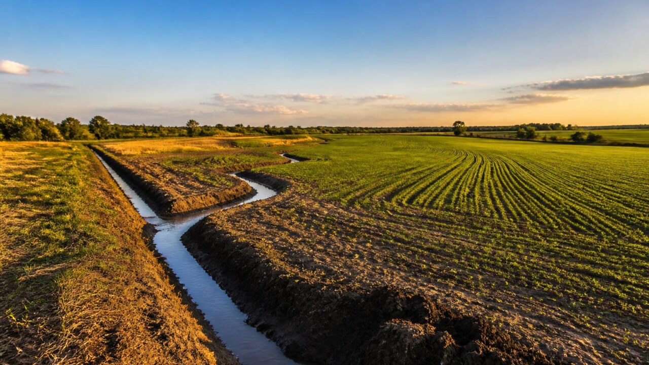 Campo agrícola com valas de drenagem e solo bem drenado sob céu claro